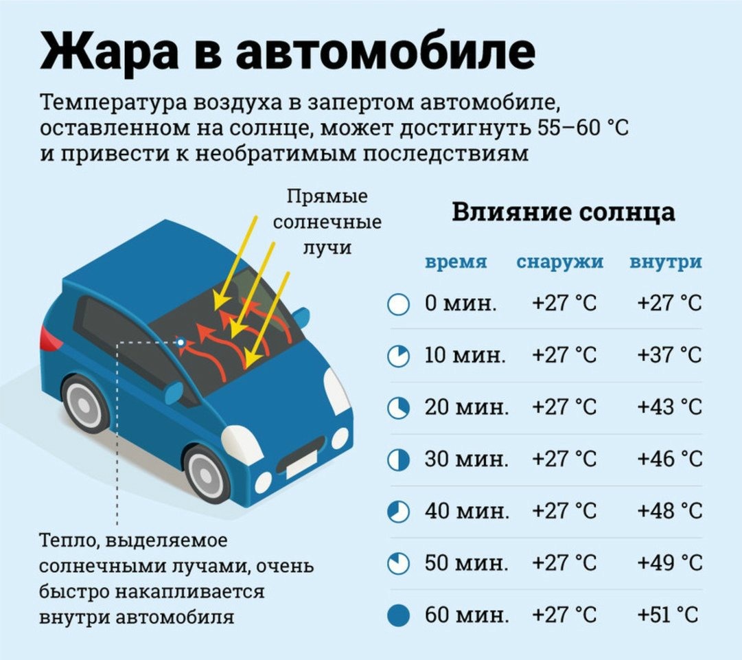 Какой автомобильный холодильник лучше выбрать и купить