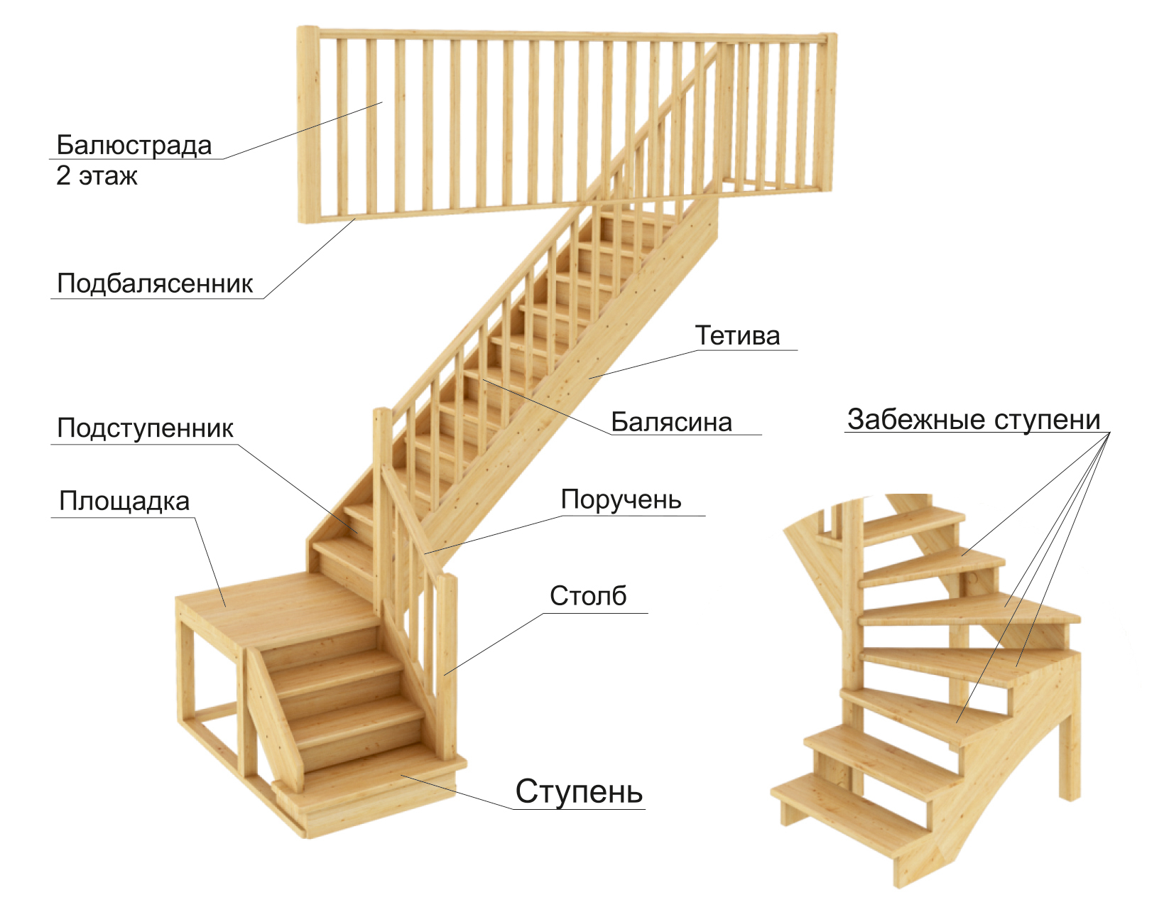 Строение лестницы схема и описание