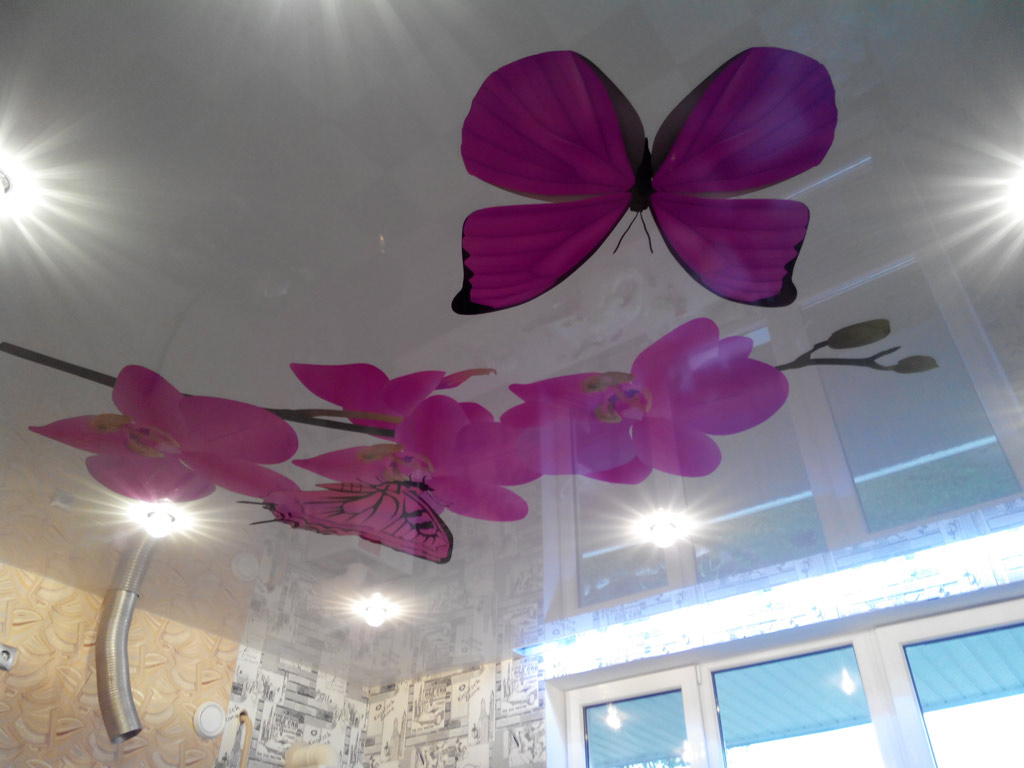 Натяжные потолки с рисунком: цветы, узоры, бабочки и другие образцы фотопечати (200+ фото)
