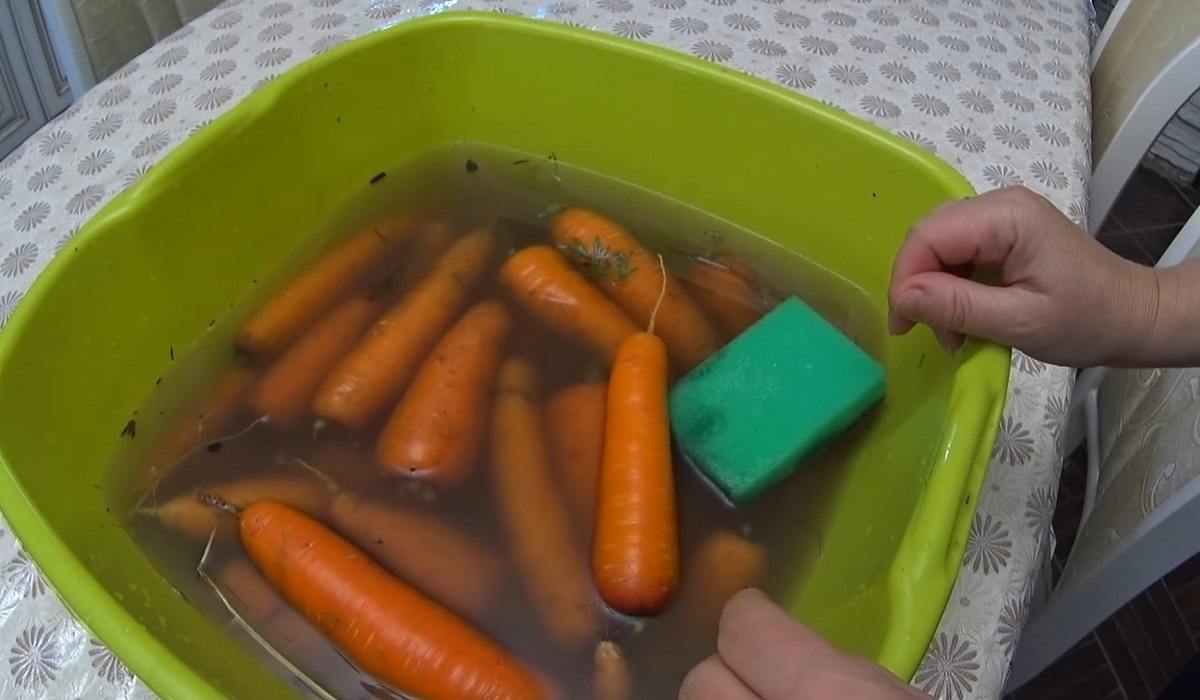 Как хранить морковь в домашних условиях в квартире до нового урожая