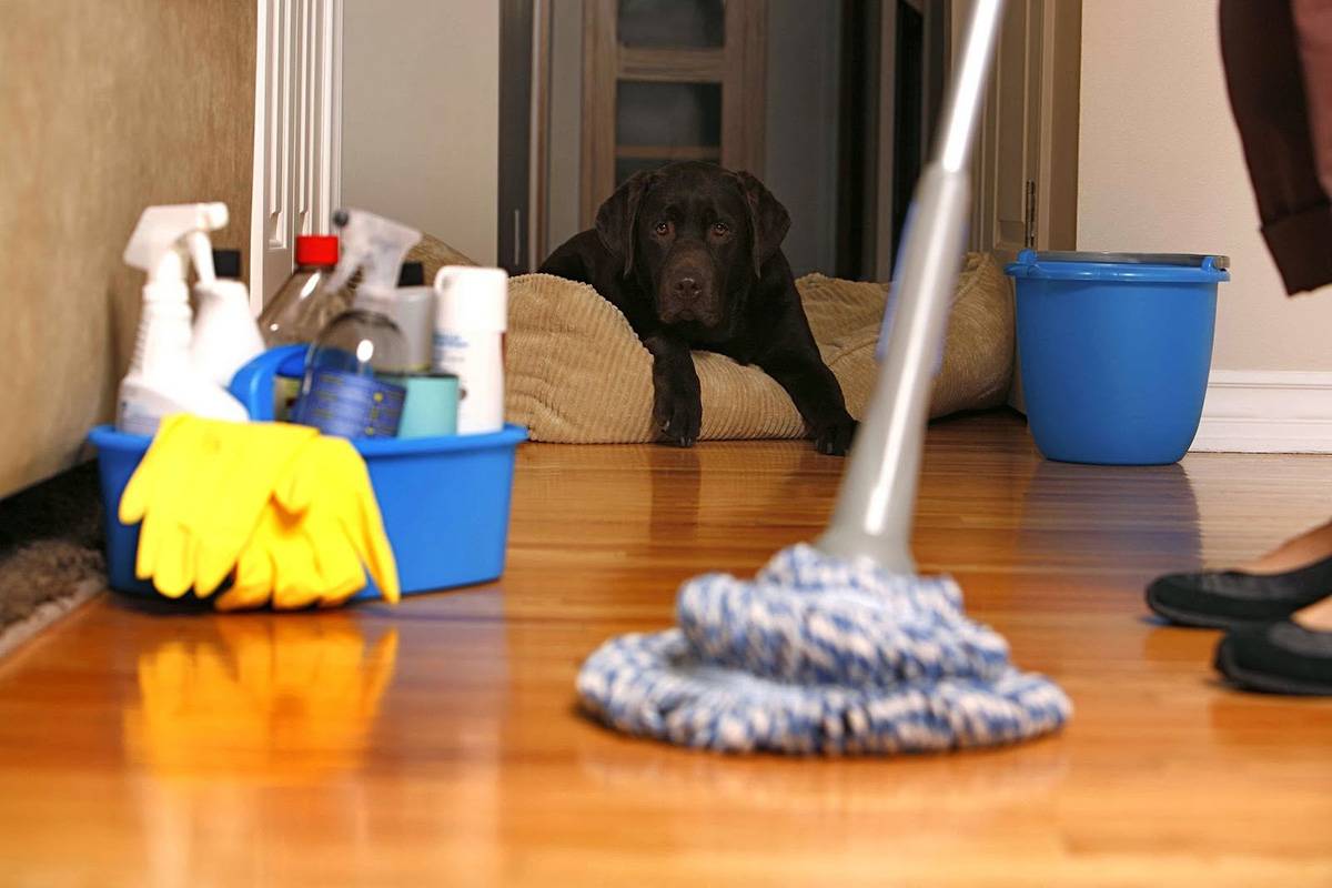 6 труднодоступных мест, про которые часто забывают при уборке