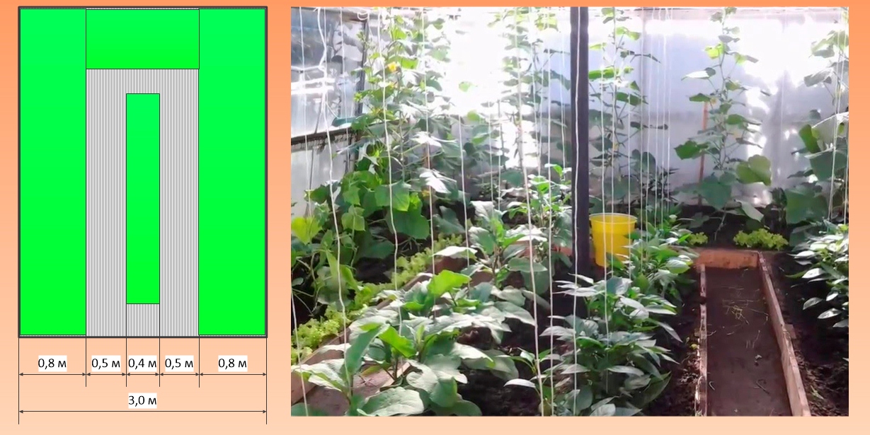 Расположение томатов в теплице 3х6 схема грядок