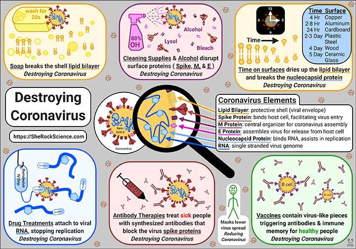 Как защитить дом от коронавируса и сделать его безопасным