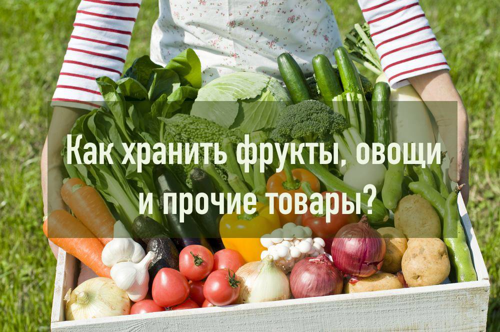 Правила хранения овощей в овощехранилищах: подготовка и особенности складирования