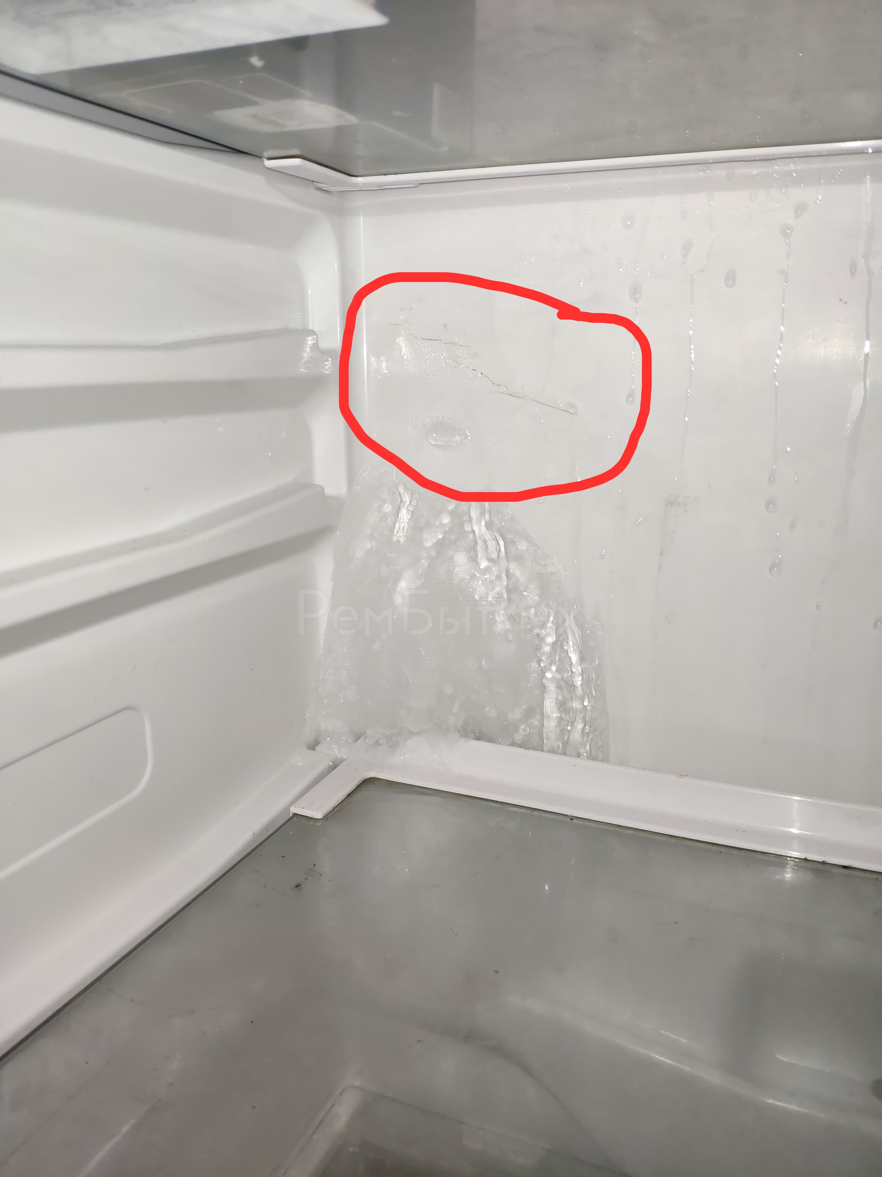 Почему в холодильнике скапливается вода