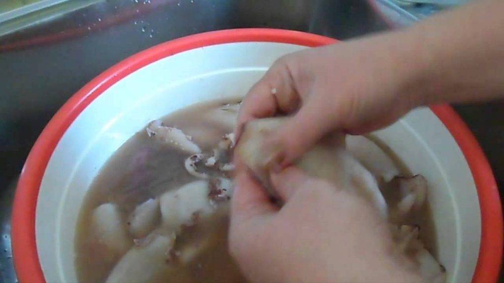Как чистить и варить кальмаров - замороженных, сырых, советы, лайфхаки