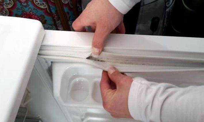 Как убрать плесень из холодильника: 2 метода  | mirnadivane.ru