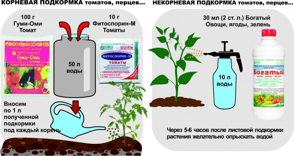 Грамотный полив болгарского перца способствует хорошему урожаю