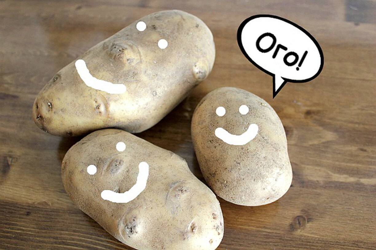 15 способов применения картофеля в быту
