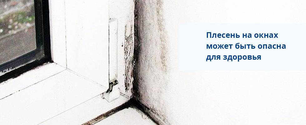 Что делать если на пластиковых окнах появилась плесень