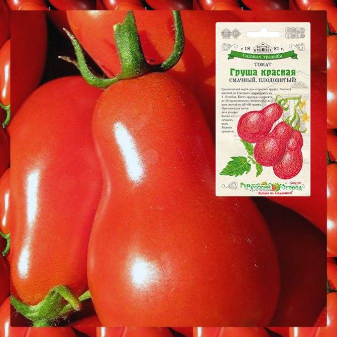 Низкорослые помидоры для теплиц > какие сорта самые урожайные