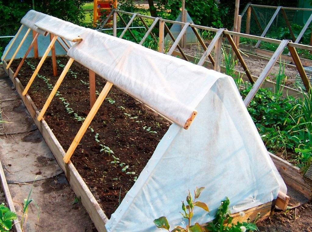 Выращивание огурцов на шпалере: как посадить в открытый грунт и правильно укрыть