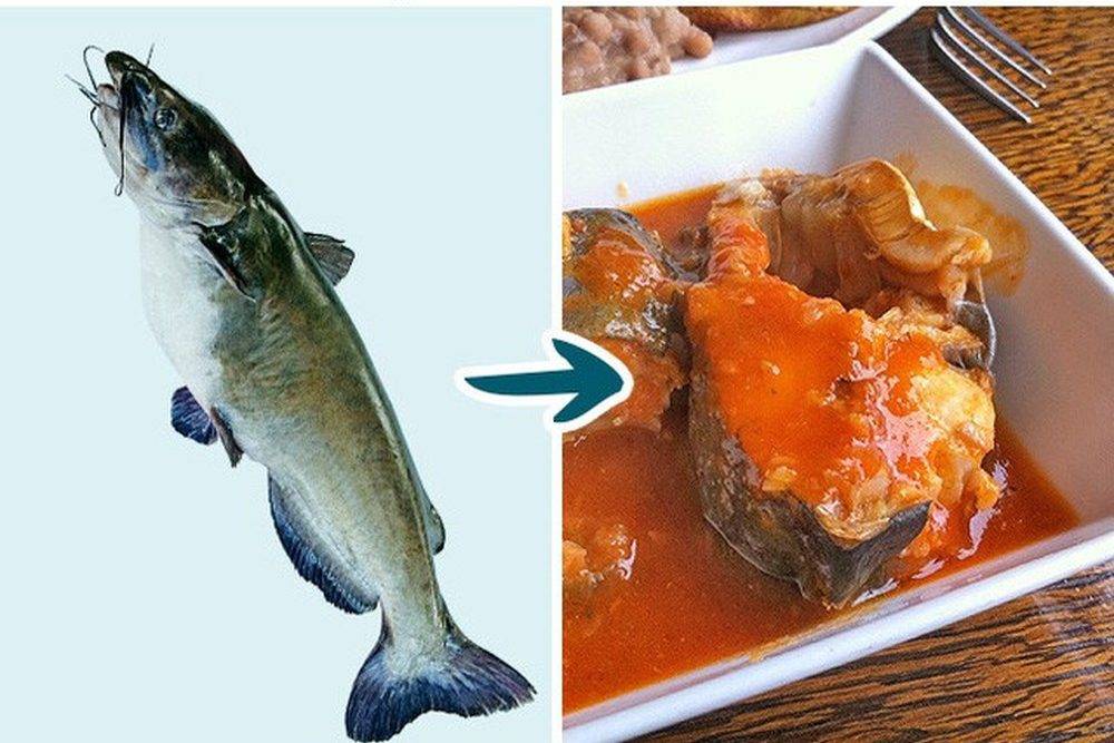 13 видов рыбы, которые нельзя есть :: инфониак