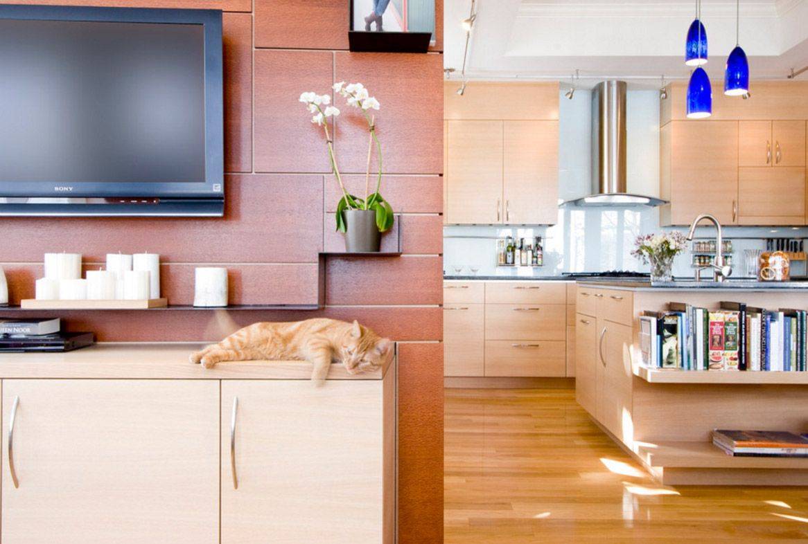 Телевизор на кухне – идеи и правила размещения, советы по выбору (фото)