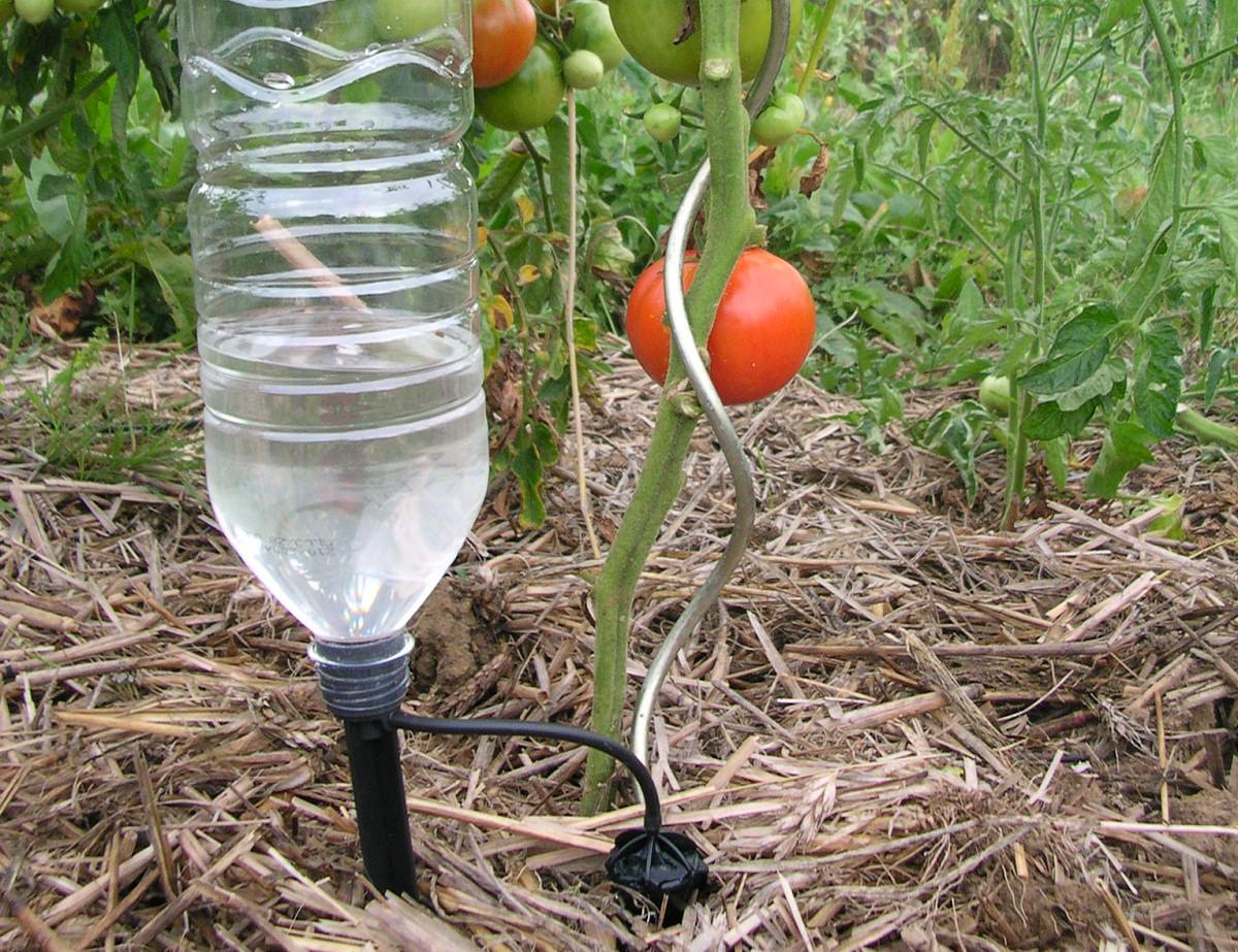 Капельный полив своими руками из пластиковых бутылок - для огурцов и помидоров в теплице - мк с фото и видео