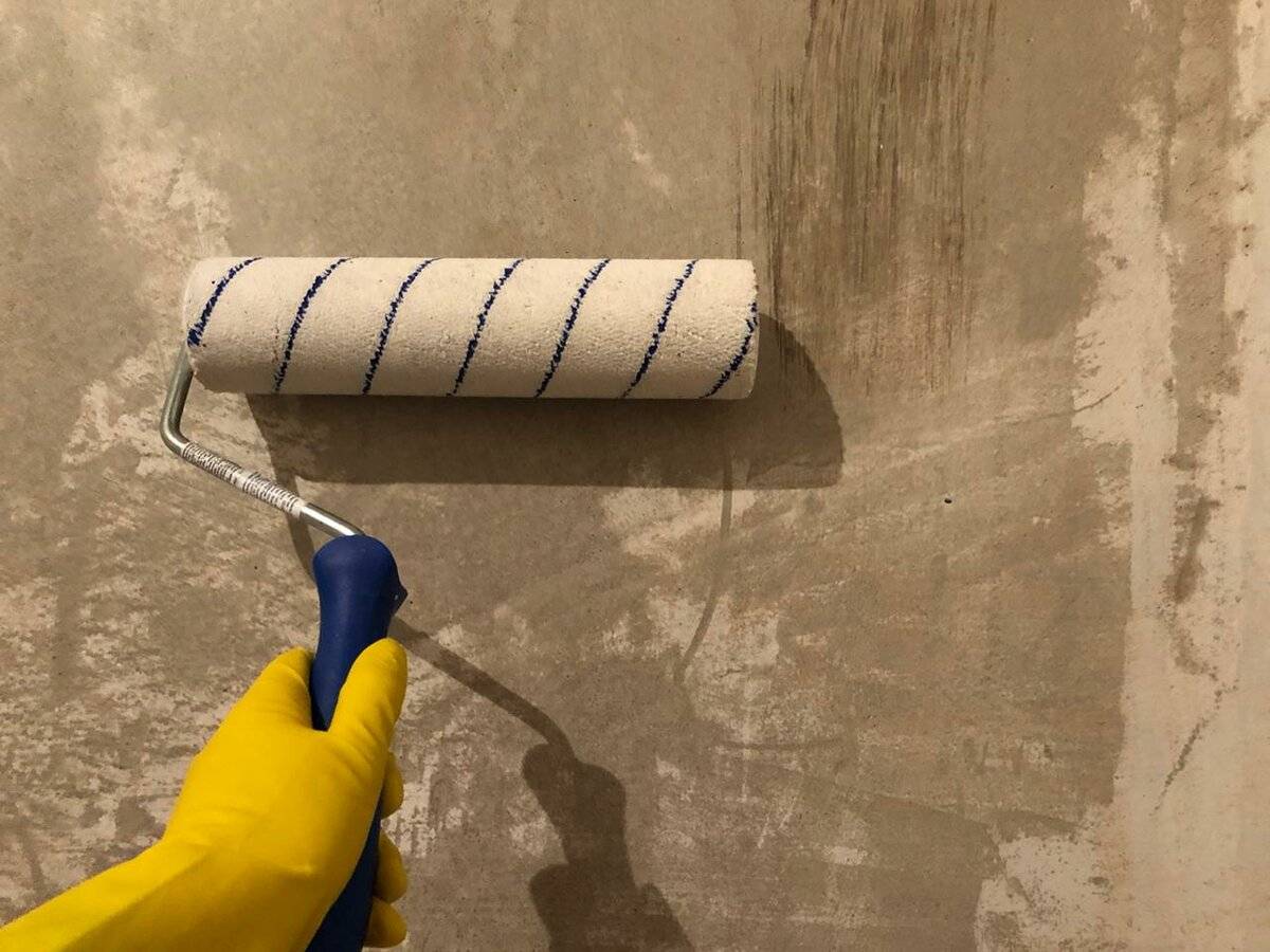 Грунтовка для стен под покраску – применение и виды
