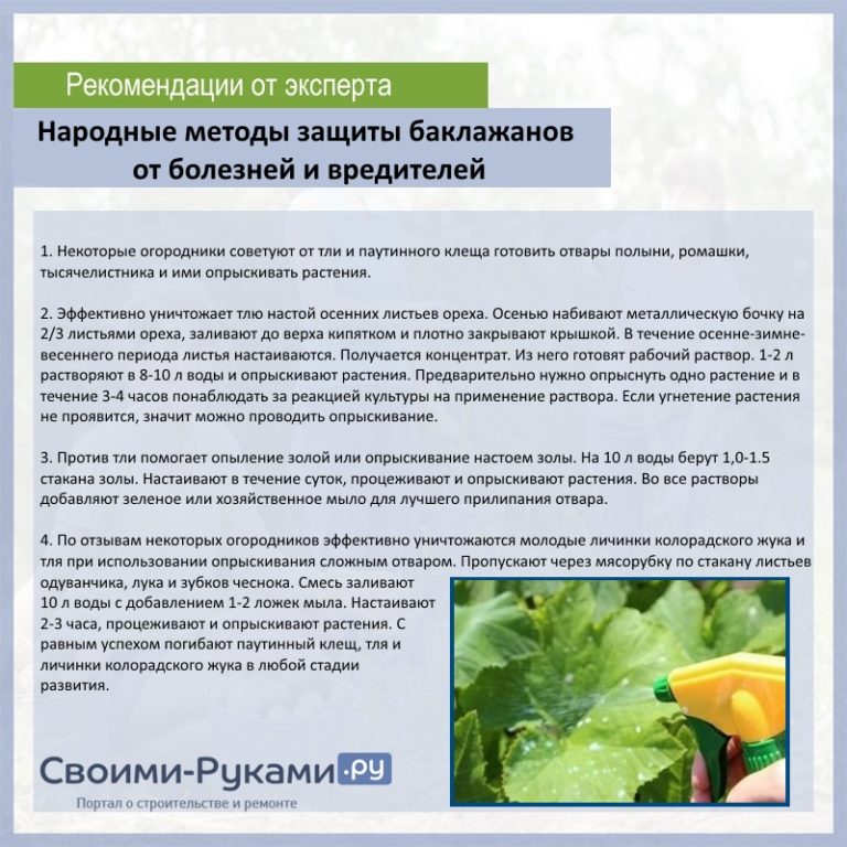Болезни рассады томатов: описание, методы борьбы, лечение, профилактика