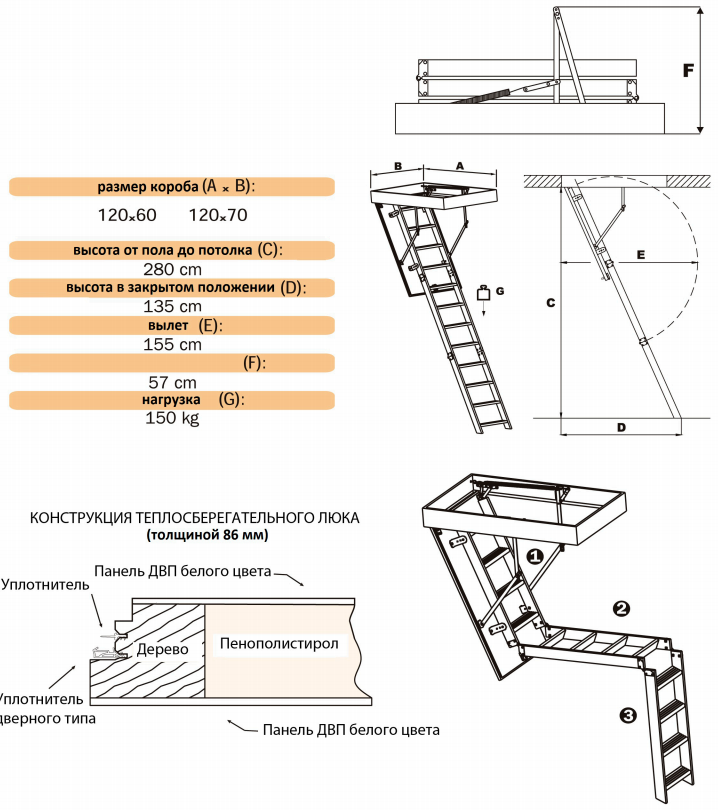 Современные раскладные лестницы на чердак: 5 видов