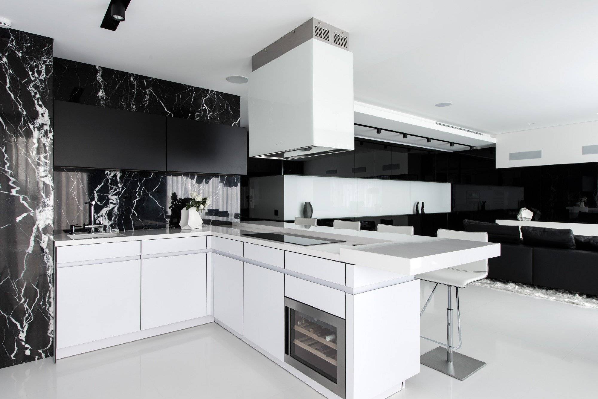 стиль модерн кухни черно белый цвет