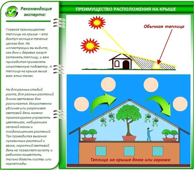 Гараж и баня под одной крышей: особенности конструкции