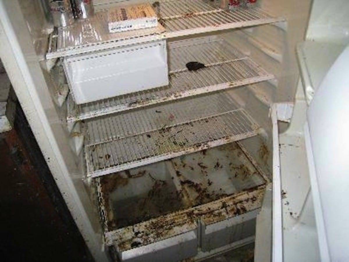 Грязный холодильник