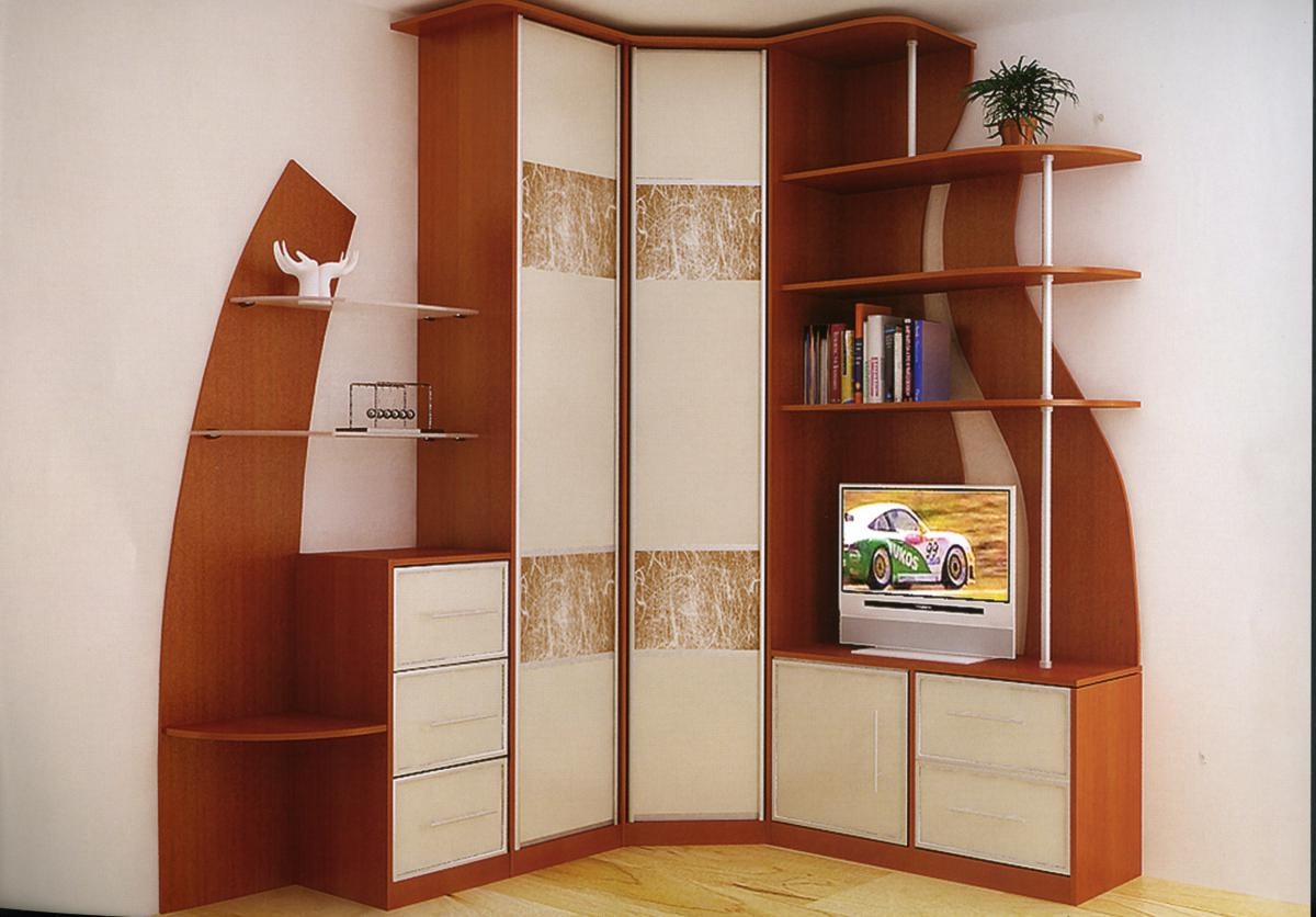 Мини-стенки для гостиной: 105 фото современных идей украшения гостиной комнаты