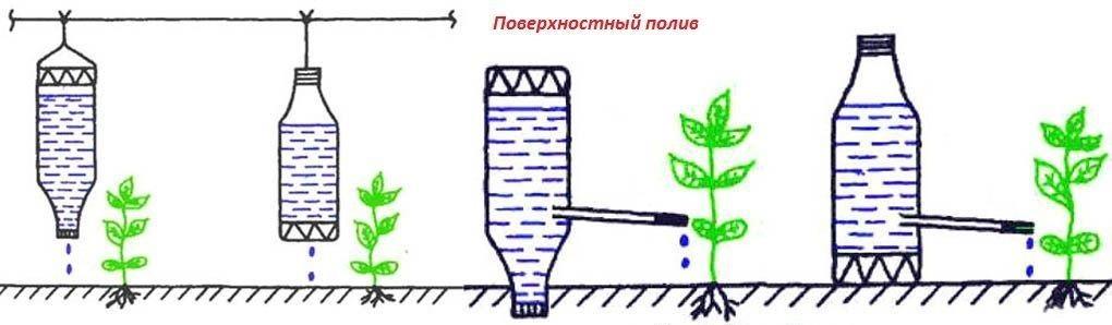 Капельный полив из бутылок своими руками