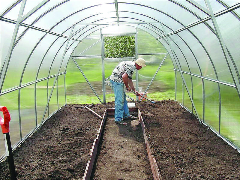 Обработка теплицы весной от вредителей и болезней: подготовка почвы к посадке рассады