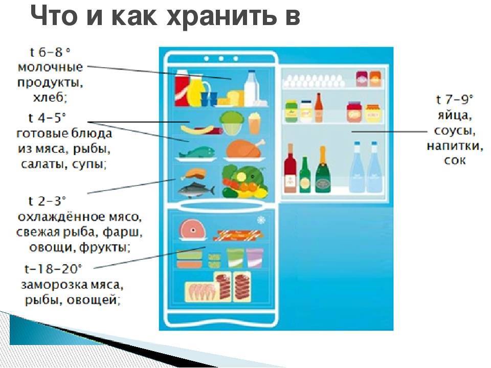 Как расположить продукты в холодильнике схема