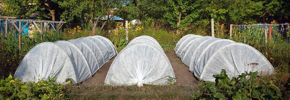 Украшаем огород с пользой: как самостоятельно изготовить парник «подснежник»