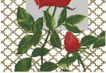 Классическая вышивка крестом: розы, схемы