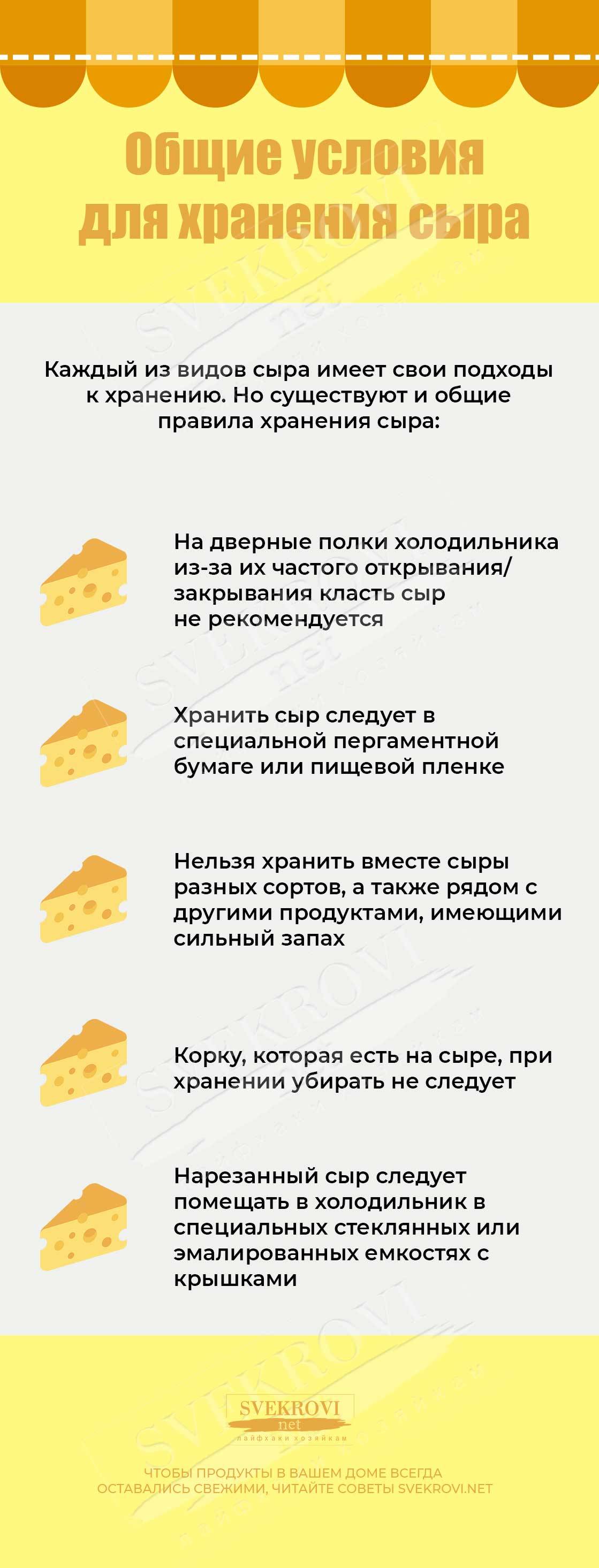 Как правильно хранить сыр в холодильнике: подробное описание и советы